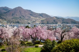 上山城1(Kaminoyama Castle 1)