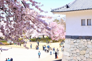 霞城公園の広場(Kajo Park)