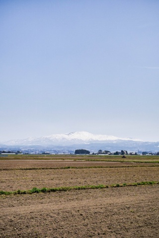 庄内平野(水田)(Shonai Plain)