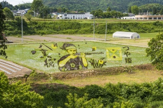 田んぼアート(Rice field art)