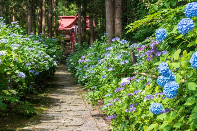 出塩文殊堂/あじさい参道