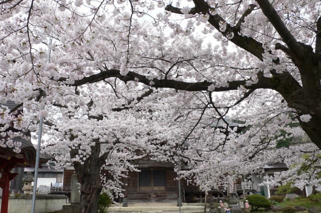 父母報恩寺
