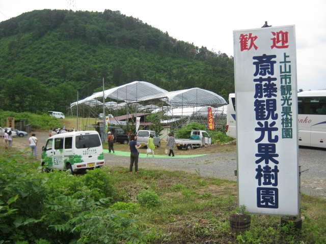 斎藤観光果樹園