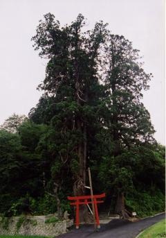 白山神社(村山市)