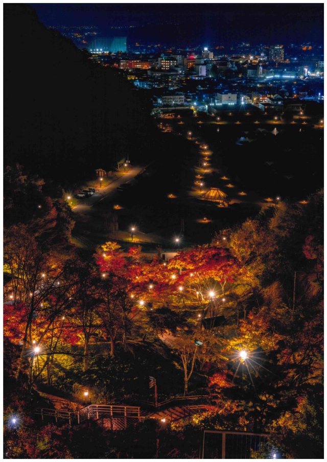 天童公園もみじ園 ライトアップ